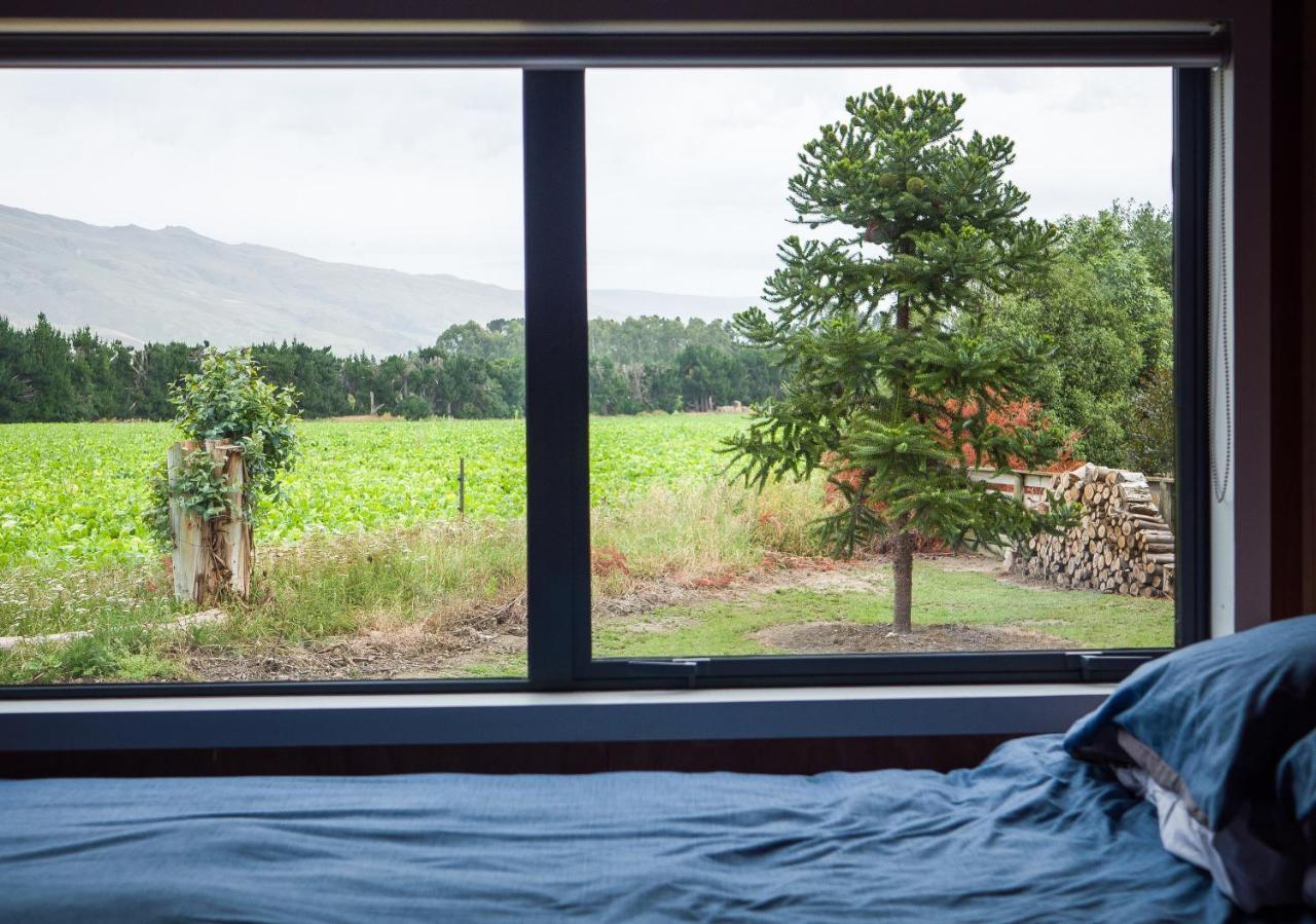 Honey Cottage In Ettrick Millers Flat Екстериор снимка
