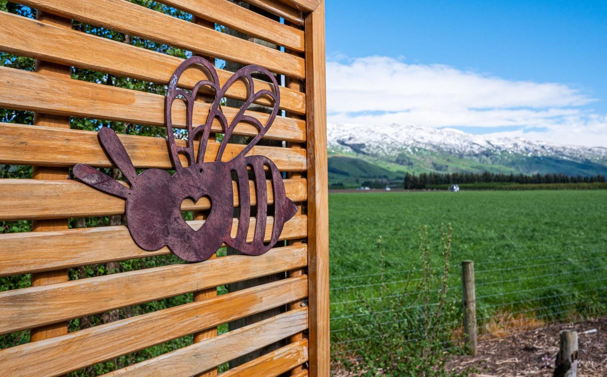 Honey Cottage In Ettrick Millers Flat Екстериор снимка